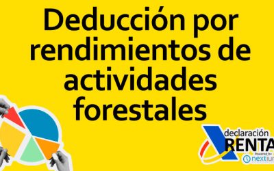 Deducción por Rendimientos de Actividades Forestales en la Declaración de la Renta en España