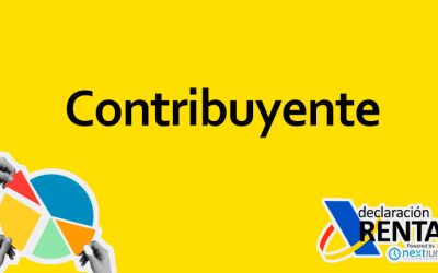 Contribuyente de la Declaración de la Renta en España