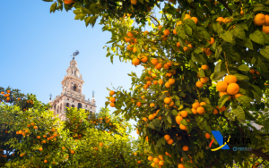 deducciones autonomicas andalucia