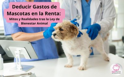 Deducir Gastos de Mascotas en la Renta: Mitos y Realidades tras la Ley de Bienestar Animal